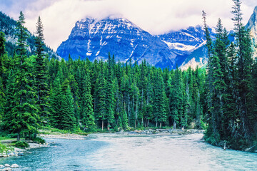 Beautiful river in a mountainous landscape with a coniferous forest