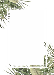 Monstera, calathea, colocasia, liana, philodendron. Watercolor tropical green banner in monochrome style. Exotic design for cosmetics, invitations, summer banner, spa, perfume, travel, packaging