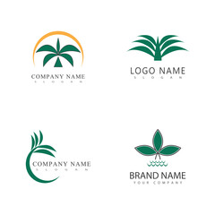 Palm tree summer logo template