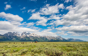 Fototapeta na wymiar The Teton Range at Grand Teton National Park in Northwestern Wyoming