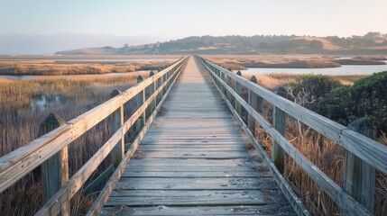 Obraz premium Wooden bridge spanning a peaceful marshland, providing a scenic route for birdwatchers and nature enthusiasts.