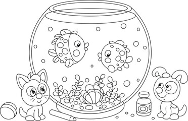 Funny little puppy and kitten resting after merry romp with a ball and watching tropical fishes swimming in a round home aquarium with a sea shell and seaweeds, vector cartoon illustration