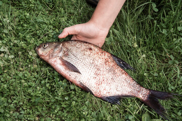 hand holding a fish, hobbies and recreation