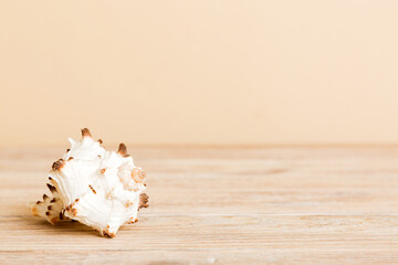 Summer time concept with sea shells or starfish on a table background with copy space for text