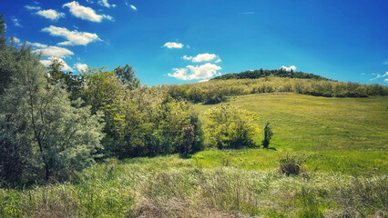 Obraz premium Forest and hiking trails of the Somogyi hills, valley bridge, Balaton, Hungary