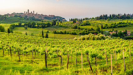 Medieval San Gimignano hill town with skyline of medieval towers, including the stone Torre Grossa. Province of Siena, Tuscany, Italy.