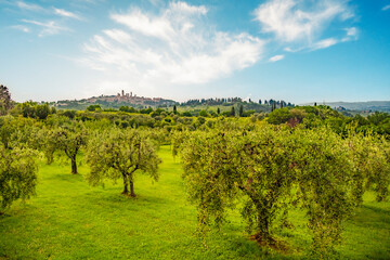 Naklejka premium Medieval San Gimignano hill town with skyline of medieval towers, including the stone Torre Grossa. Province of Siena, Tuscany, Italy.