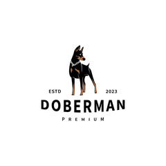 Standing doberman dog logo design illustration