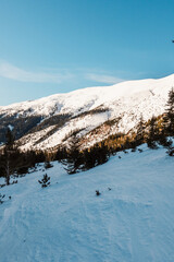 Alpine mountains landscape with white snow and blue sky. Frosty trees under warm sunlight. Wonderful wintry landscape High Tatras, slovakia