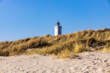 Bl&acirc;vand Strand und Leuchtturm - D&auml;nemark 16