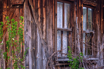 The windows of the abandoned wooden hut. The countryside in Turkey. The idea of the metaphor of urbanization. Detail of derelict chalet.