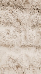 Sandy Soil Texture Close-Up Sepia Tone