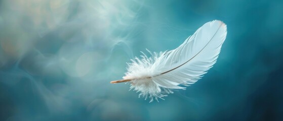 Healing whispers: A feather drifting in a gentle breeze, carrying away worries.