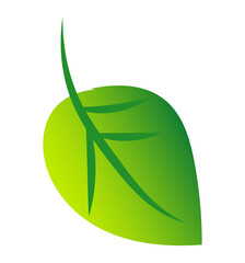 green leaves, leaf for logo, design, icon for the symbolism of the green planet