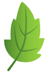 green leaves, leaf for logo, design, icon for the symbolism of the green planet