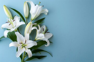 an elegant bouquet of white lilies positioned against a soft blue background