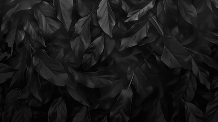 Dark leaf pattern with a lush, botanical texture. - obrazy, fototapety, plakaty