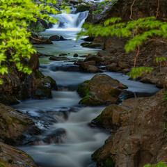 新緑の大滝