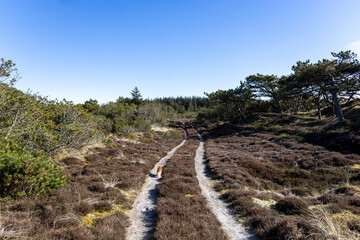 Houstrup Strand - Wanderung - Dänemark 2