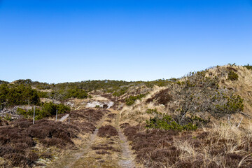 Houstrup Strand - Wanderung - Dänemark 1