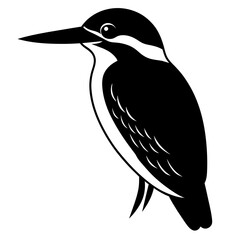Majestic Kingfisher Silhouette: A Stunning Avian Impression