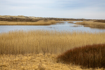 Nymindegab - Fulle Huse  - Dänemark - 5