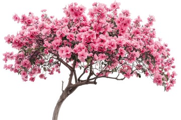 Blossoming tree on a solitary white backdrop. Generative Ai