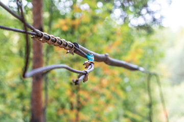 Clamping mechanisms securing a steel zip-line cable with lush foliage in background close-up shot