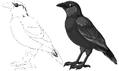 Vector illustration of crows in black and white.