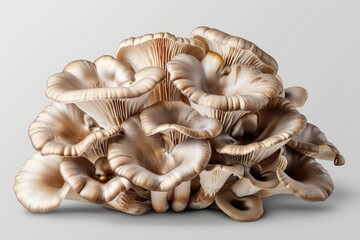 Frontal view of a vegetable isolate with maitake mushrooms on a white backdrop. Generative Ai
