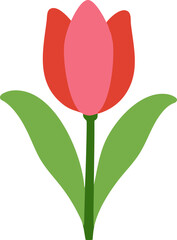 red tulip