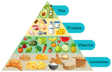 Colorful depiction of food groups in a pyramid layout.