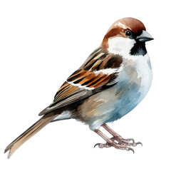 AI-Generated Watercolor Sparrow Clip Art Illustration. Isolated elements on a white background.