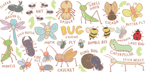 set of hand drawn cute bug for kids, english, bug pattern