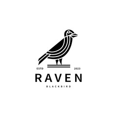 Fototapeta premium black bird raven logo design illustration 3