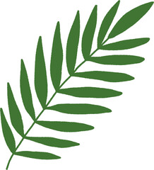 leaf isolated on white