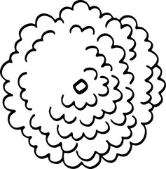 top view of tree hand drawing.