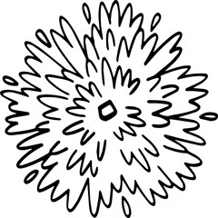 top view of tree hand drawing.