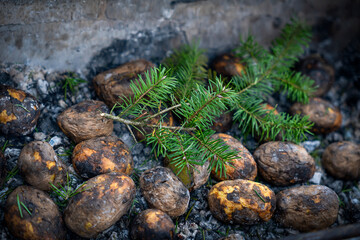 Baked Potatoes in the hot coals in a camp fire - Campfire cooking