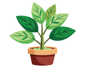 Indoor plant pot vector