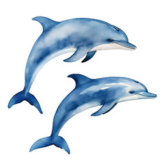 Fototapeta premium AI-Generated Watercolor two Cute Dolphin jumping Clip Art Illustration. Isolated elements on a white background.
