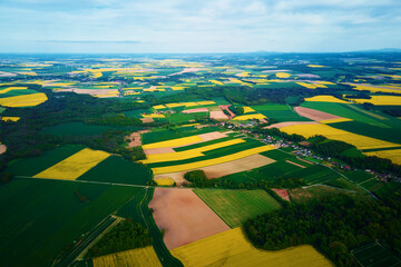 Aerial view of landscape with yellow rapeseed fields. Nature background with patchwork view of...