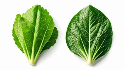  Fresh green leaves perfect for culinary or decorative use - Powered by Adobe