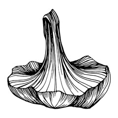 Obraz premium Mushrooms outline