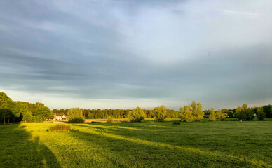 This image features a vibrant green field bathed in the warm, golden light of an early morning sun....