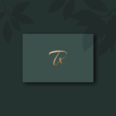 Tx logo design vector image