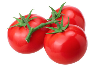 bunch of fresh red tomatoes isolated, macro tomato studio photo, transparent PNG, PNG format, cut out