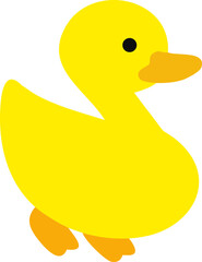 duck