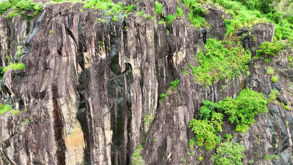 Tranquil drone flight above rocky cliffs, enveloped by a serene rainforest, an idyllic fusion of...