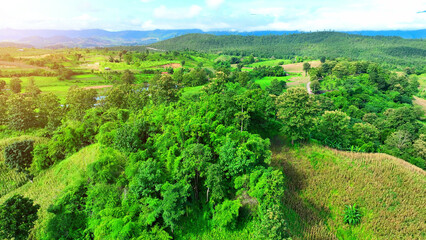 Obraz premium Aerial drone imagery reveals the intricate agricultural systems etched into the hilly and plateau terrains. Precision farming techniques optimize crop yields in challenging landscapes. Thailand. 